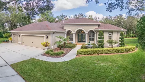 15802 Sorawater Dr, Lithia, FL 33547