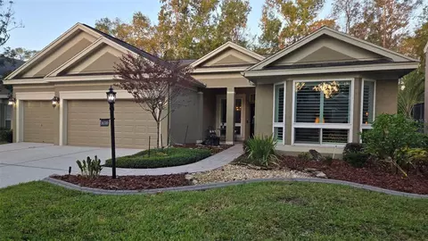 16310 Armstrong Pl, Tampa, FL 33647