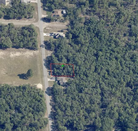 6075 N Darlington Dr, Dunnellon, FL 34434