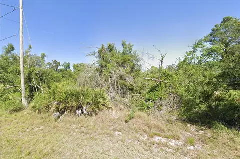 1543 Meadowbrook St, Lake Placid, FL 33852