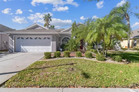 2208 Katana Pl, Brandon, FL 33511