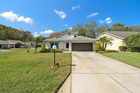 11525 Pear Tree Dr, New Port Richey, FL 34654