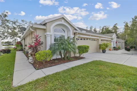 19240 Barred Owl Ct, Land O Lakes, FL 34638