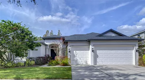 3811 Misty Willow Way, Lutz, FL 33558