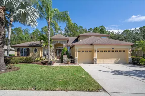 16750 Ivy Lake Dr, Odessa, FL 33556
