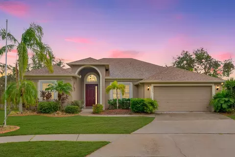 10803 Australian Pine Dr, Riverview, FL 33579