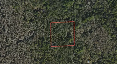 Underhill Branch Road, Osteen, FL 32764