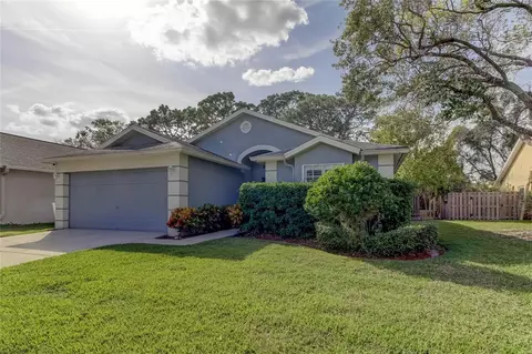 11111 Indian Oaks Dr, Tampa, FL 33625