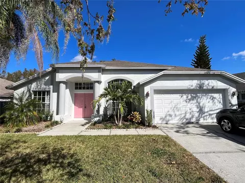 18111 Palm Breeze Dr, Tampa, FL 33647