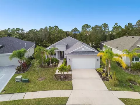 12743 Rainwashed Loop, Parrish, FL 34219 photo 1