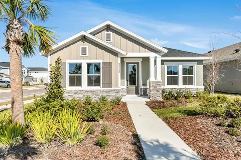 28732 Rambutan Dr, Wesley Chapel, FL 33543