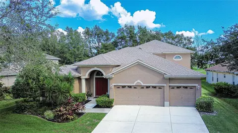 1521 Brilliant Cut Way, Valrico, FL 33594