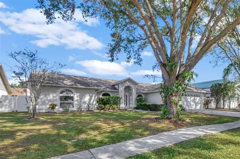 1414 Monte Lake Dr, Valrico, FL 33596