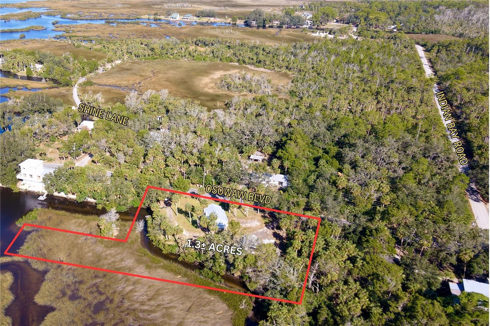 1348 Osowaw Blvd, Spring Hill, FL 34607 photo 1