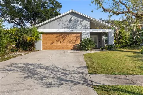13833 Cherry Creek Dr, Tampa, FL 33618