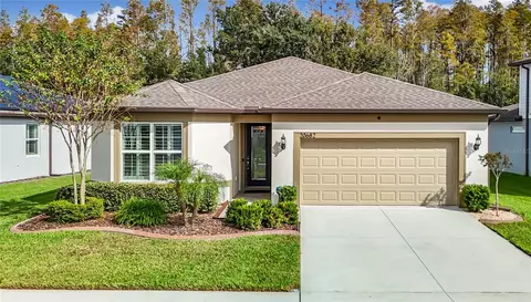 20682 Monza Loop, Land O Lakes, FL 34638