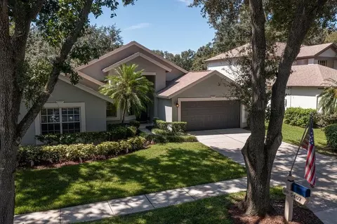 5407 Twin Creeks Dr, Valrico, FL 33596