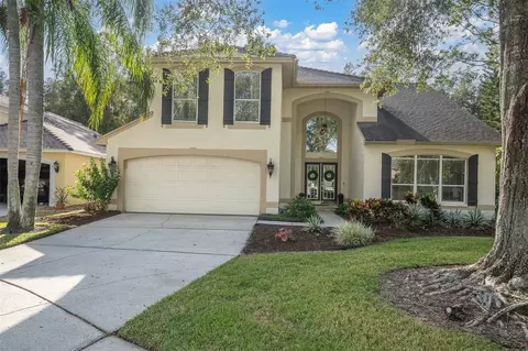 5552 Avenue Du Soleil, Lutz, FL 33558