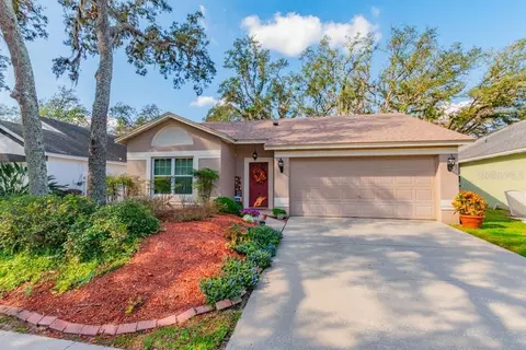 4009 Fontana Pl, Valrico, FL 33596