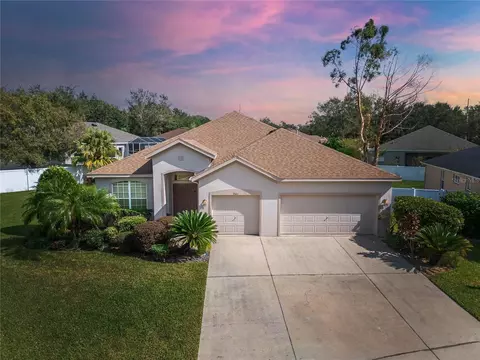 3101 White Pheasant Pl, Valrico, FL 33596