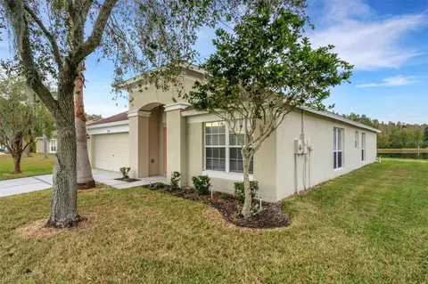 31115 Hannigan Pl, Wesley Chapel, FL 33543
