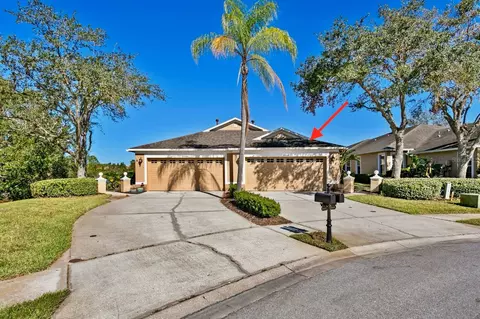 8604 Egret Point Ct, Tampa, FL 33647