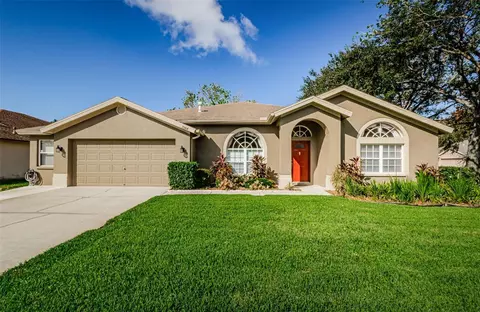 29414 Allegro Dr, Wesley Chapel, FL 33543