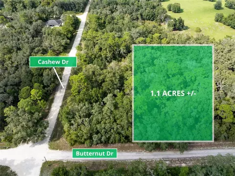 Butternut Drive, Webster, FL 33597
