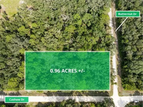 Butternut Drive, Webster, FL 33597