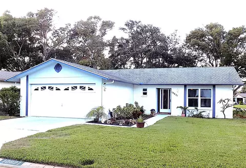 10621 Green Meadow Ln, Port Richey, FL 34668