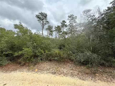 tbd NE 155th Ct, Fort Mc Coy, FL 32134