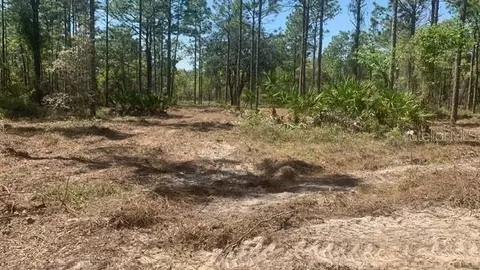 16417 Curlew Rd, Brooksville, FL 34614