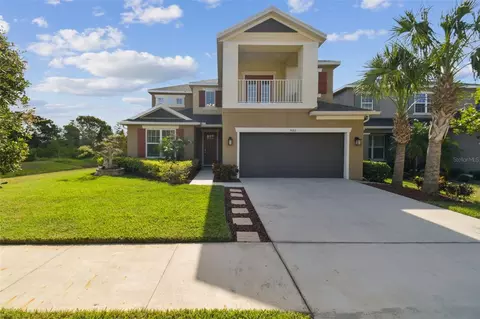 8002 Marbella Creek Ave, Tampa, FL 33625