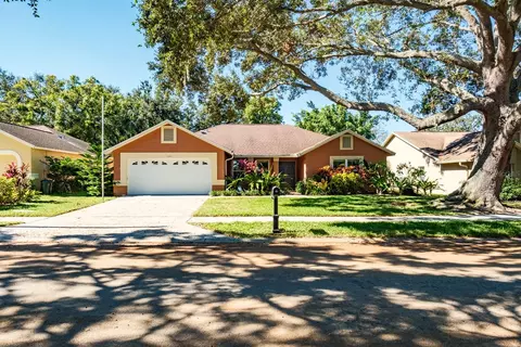 3004 Windridge Oaks Dr, Palm Harbor, FL 34684