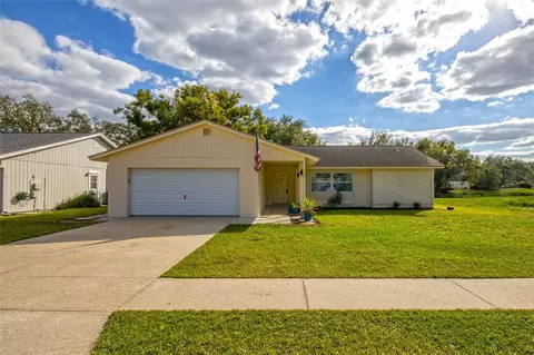 2311 Gnarled Oak Ave, Lutz, FL 33549