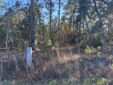 Tbt Sw 91st Ln, Dunnellon, FL 34432