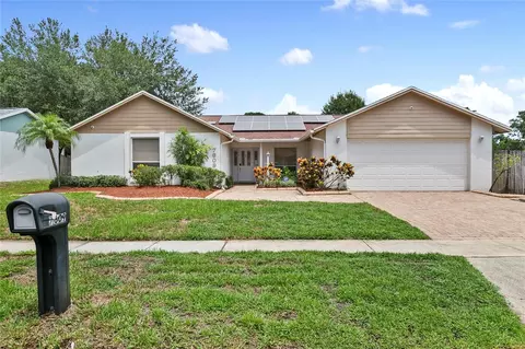 7609 Overbrook Dr, Tampa, FL 33634