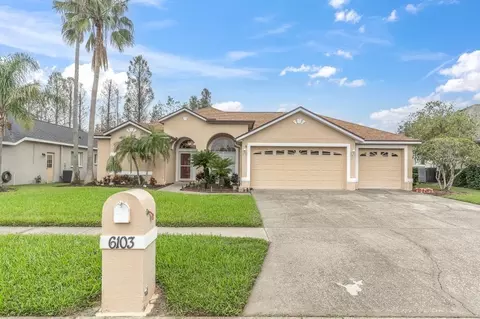 6103 Savoy Cir, Lutz, FL 33558
