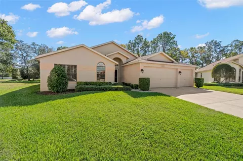 11363 Copley Ct, Spring Hill, FL 34609