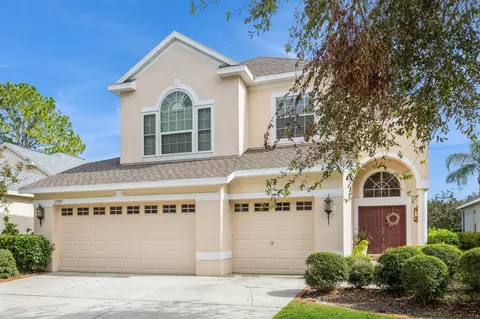 17929 Timber View St, Tampa, FL 33647