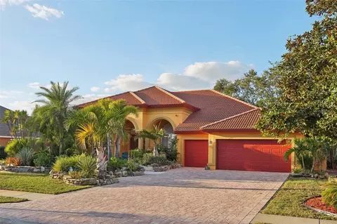 3921 Mimosa Pl, Palm Harbor, FL 34685