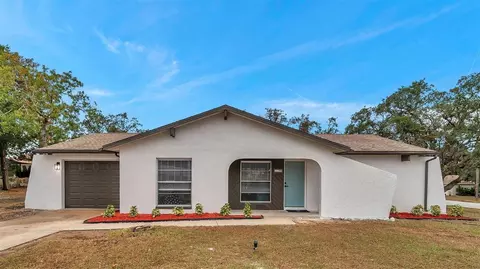 11199 Mayflower Rd, Spring Hill, FL 34608