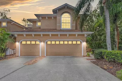 4262 Preserve Pl, Palm Harbor, FL 34685