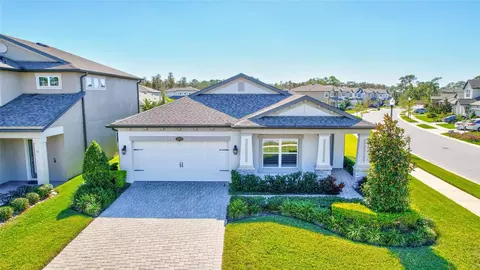 19898 Stone Pine Cir, Lutz, FL 33558