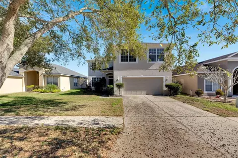 11217 Avery Oaks Dr, Tampa, FL 33625