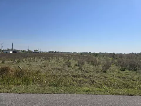 Terrell Road, Wauchula, FL 33873
