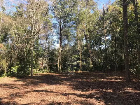 County Road 656, Webster, FL 33597