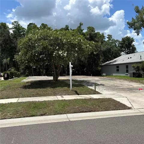 1323 Baythorn Dr, Wesley Chapel, FL 33543