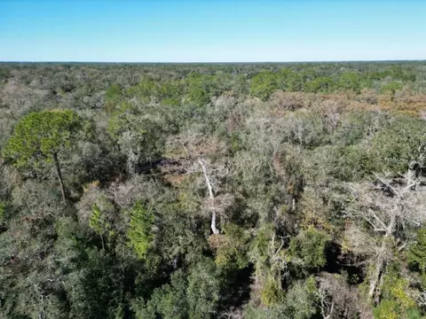 Other - 39716 Tworut Rd, Webster, FL 33597 photo 16 of 17