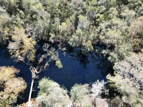 View/Area - 39716 Tworut Rd, Webster, FL 33597 photo 5 of 7